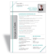 CV Word Chargé de communication