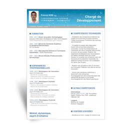 Modèle CV Word Chargé de Développement bleu