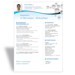 Modèle CV Word Ingénieur III
