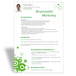 Modèle CV Word Responsable Marketing