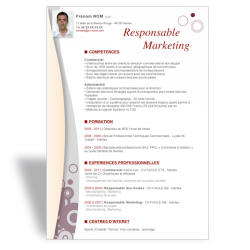 Modèle CV Word Responsable Marketing II