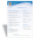 Modèle CV Word Journaliste II