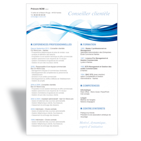 Exemple CV
